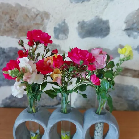 Holiday home La Boutruchere La Baconniere