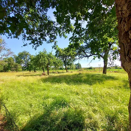 Holiday home La Boutruchere