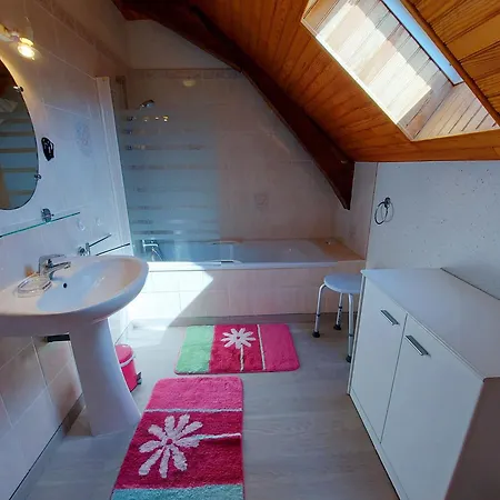 Holiday home La Boutruchere