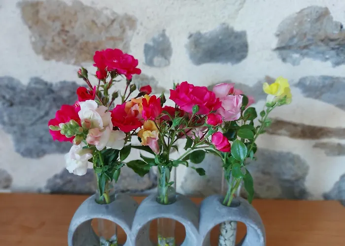 펜션 La Boutruchere La Baconniere