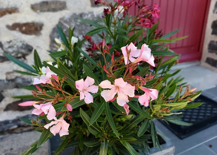 La Boutruchere 펜션