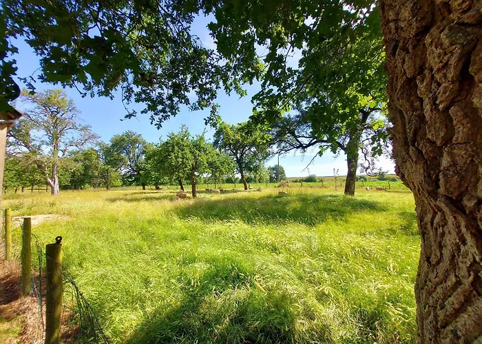 펜션 La Boutruchere