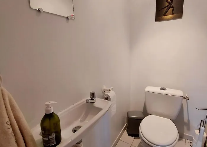 La Boutruchere 펜션 *